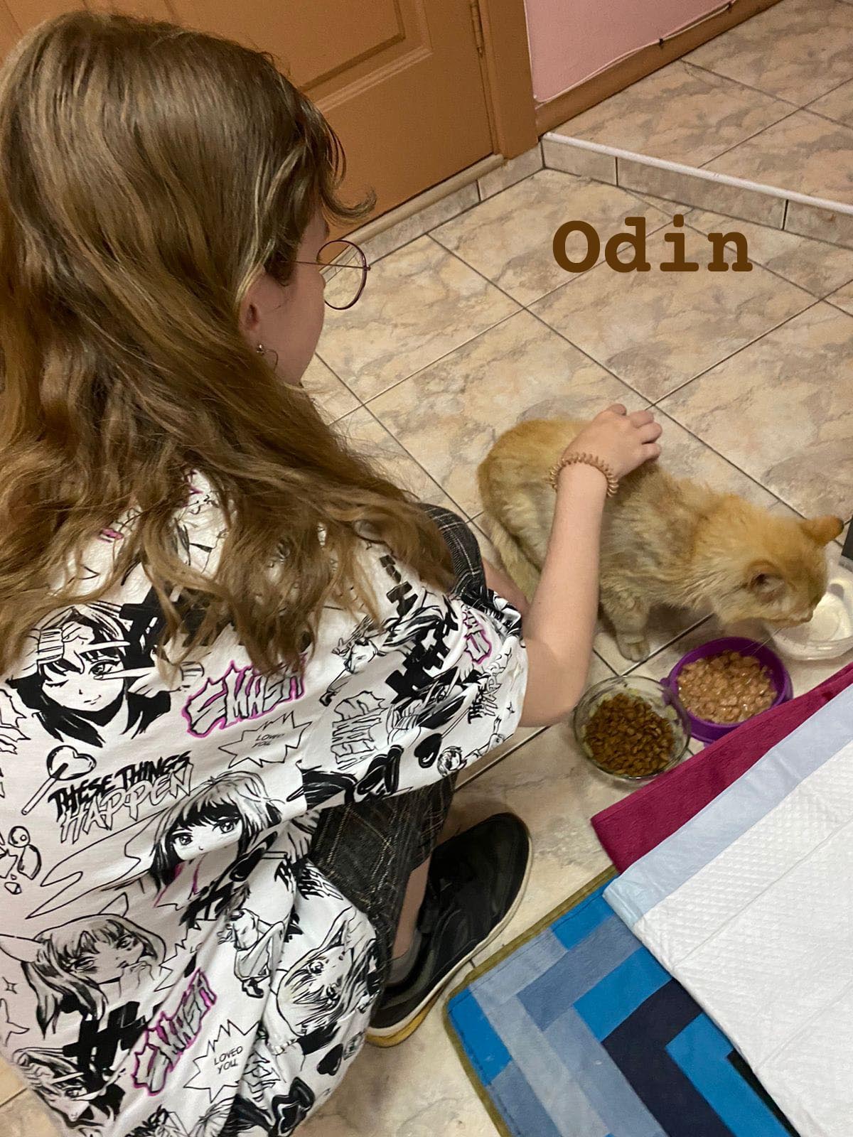 Olga/Katzen/Odin/Odin3 Kopie.jpg